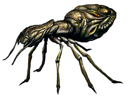 Ant