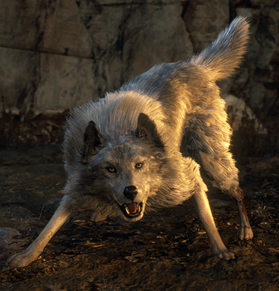 Dog