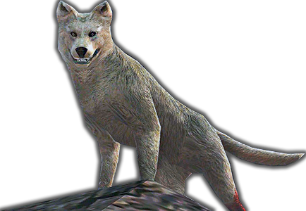 Beartrap Dog