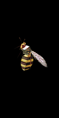 bee-re1.jpg