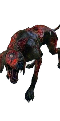 Zombie Dog-C