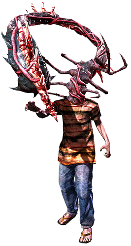Cephalo