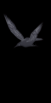 crow-re1.jpg