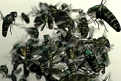 Flying Bug