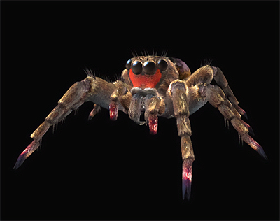 Jumping Maneater