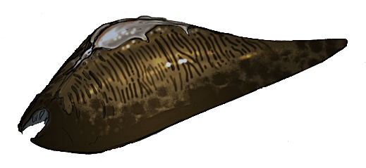 Leech