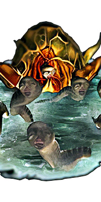 Nautilus