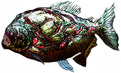 Piranha