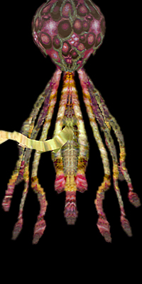 plant-42-re1.jpg