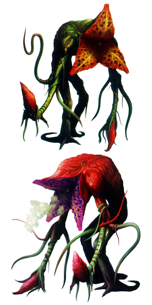 Plant 43 (Ivy)