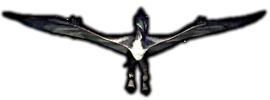 Pteranodon