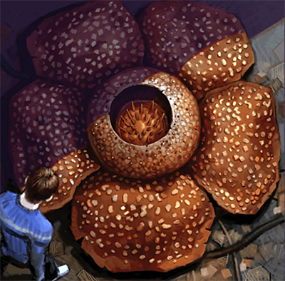 Rafflesia
