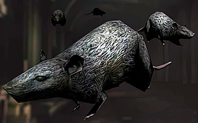Rat