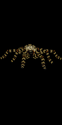 Giant Spider