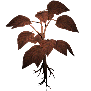 Red Herb
