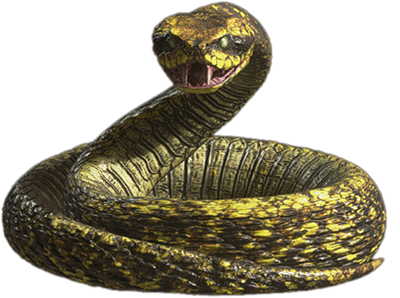Viper