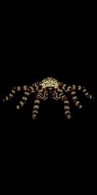web-spinner-re1.jpg