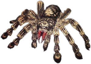 Web Spinner