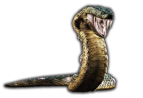Yawn