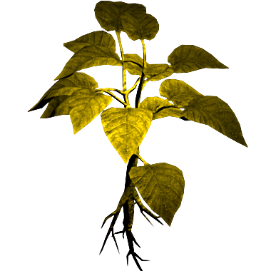 Yellow Herb