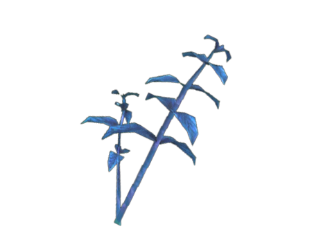 Blue Herb