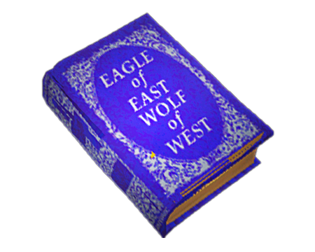 Blue Doom Book