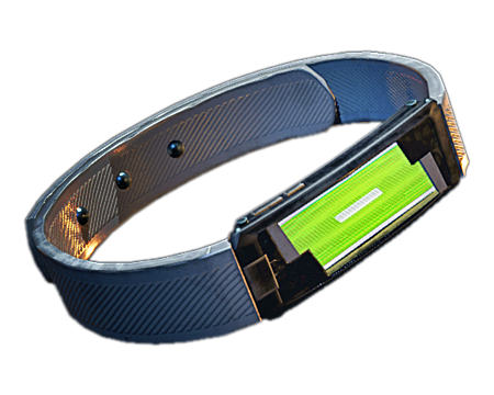 ID Band (Visitor)
