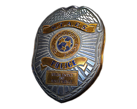 S.T.A.R.S. Badge