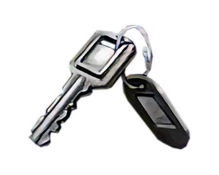 Back Door Key