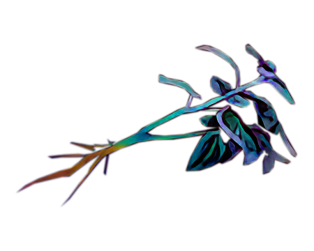 Blue Herb