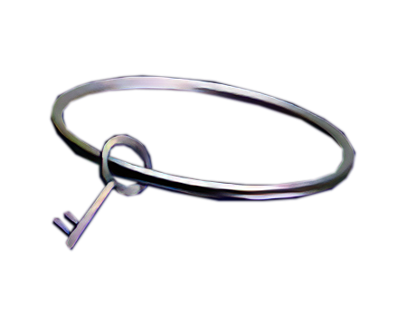 Rear Gate Key