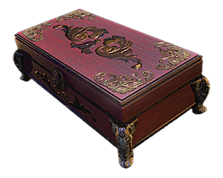 Case