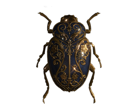 Ornate Beetle