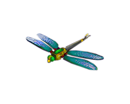 Gold Dragonfly