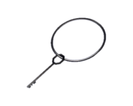 Padlock Key