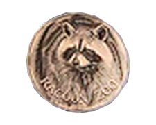 Mr. Raccoon Medal