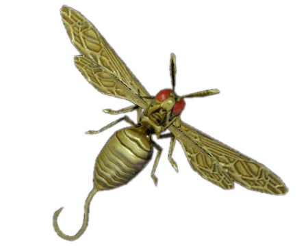 Lure of a Bee